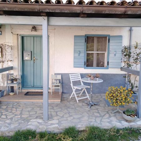 Apartment Ammonite Premantura Buitenkant foto